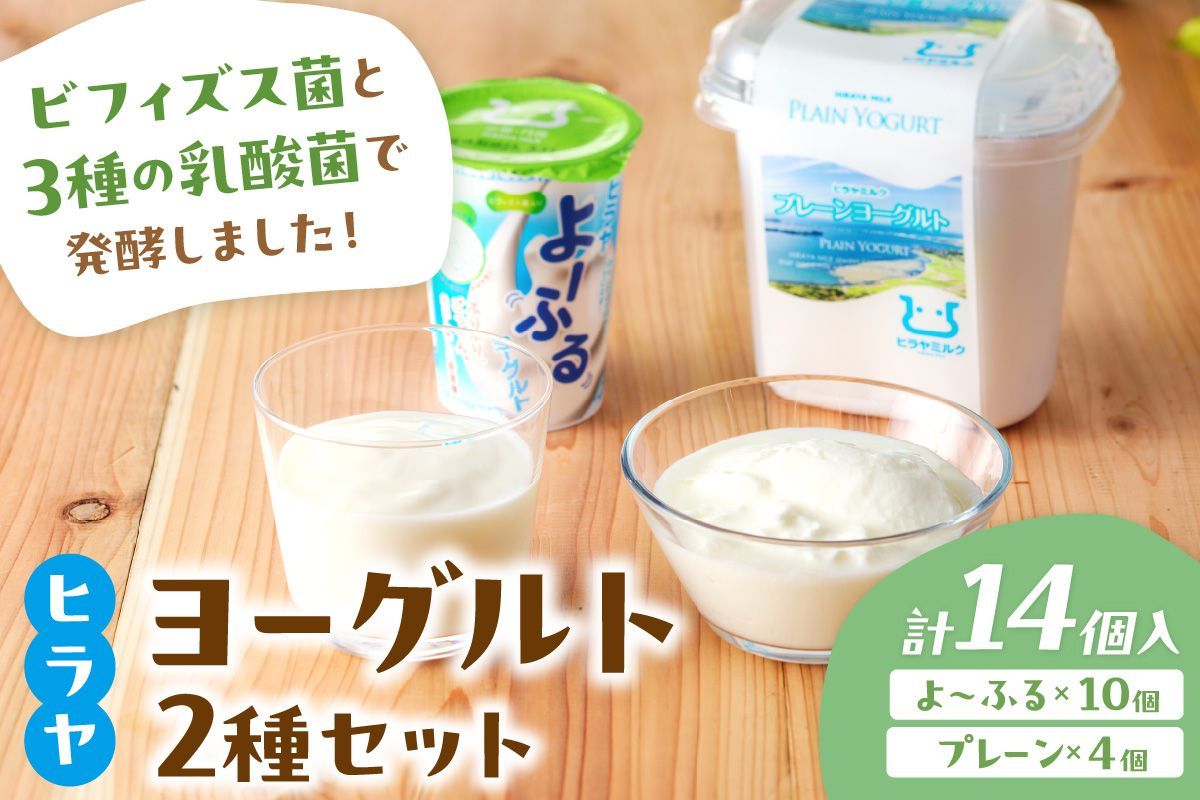プレーンヨーグルトとよ〜ふるのセット ヒラヤ 乳製品 飲料 牛乳 ミルク 乳酸菌 乳酸菌飲料 ヨーグルト よーぐると