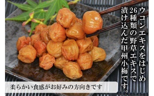 やわらか】信玄の薬膳小梅干 600g×1 [山梨農産食品 山梨県 韮崎