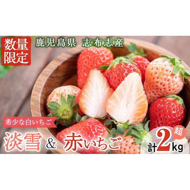 yuzuszqs\tIrYIuzu˔uWv4PƋG߂܂Ԃ4PZbg(v2kgE270g×8P) c0-015