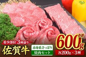 佐賀牛 希少部位 焼肉3点盛り合わせ【赤身系さっぱり】 600g （200gx3種） A5 A4【希少 国産和牛 牛肉 肉 牛 焼肉】(H085141)