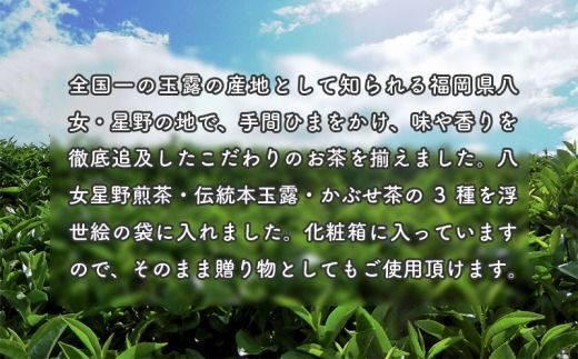 【B3-042】八女星野茶　浮世絵セット