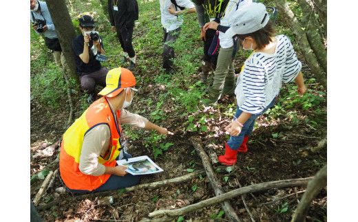 ハンター必須スキル！アニマルトラッキングとプチ狩猟体験【大槌ジビエツーリズムチケット3名様】【0tsuchi00679】