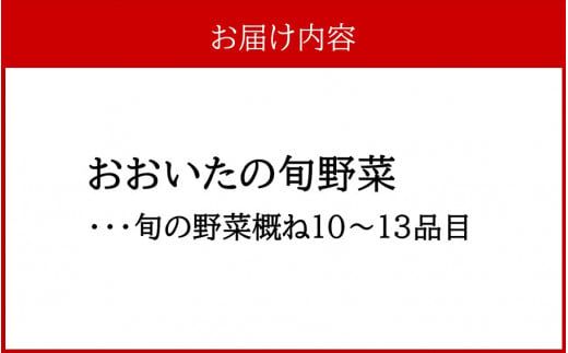 おおいたの旬野菜 10～13品 詰め合わせ_2398R