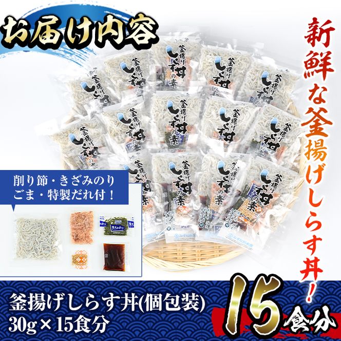 宮崎日向灘どれ釜揚げしらす丼(15食分)魚 小魚 魚介類 小分け シラス おつまみ カルシウム 釜揚げ 冷凍 海鮮丼 【E-10】【水永水産】