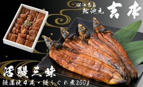 L-568】鈴木扇子店 近江扇子 和紙張 稲穂・蜻蛉 7.5寸(約22.5cm
