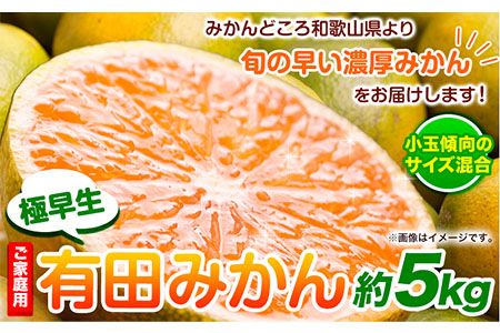 ＜先行予約＞家庭用 極早生有田みかん5kg+150g（傷み補償分）【YN26・ゆら早生】【わけあり・訳あり】池田鹿蔵農園（池田農園株式会社）《9月中旬-11月中旬頃より出荷》和歌山県 日高町 みかん 有田みかん 完熟 厳選---wsh_idn43_9c11c_24_11000_5kg---