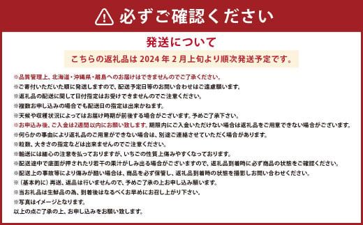 【2024年2月上旬より順次発送】あまおう DX 約280g×4パック 1120g いちご 苺 イチゴ