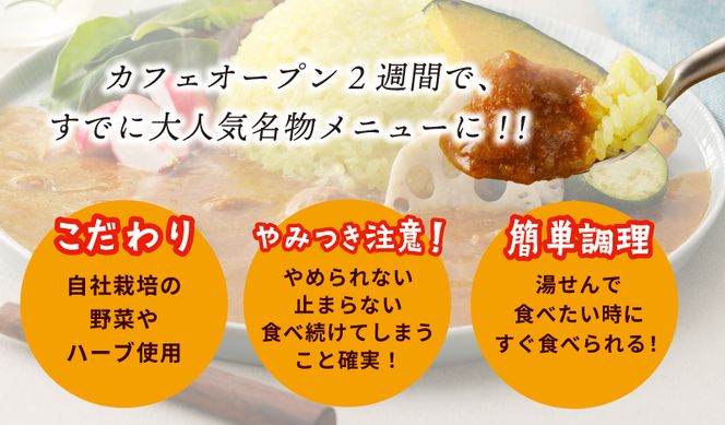 G1461 【年内発送】15種スパイスを使用したSONカフェ特製カレー 200g×4P＆玉ねぎのアチャール×1P いずみピクルス NSW スピード発送【特別寄附金額】