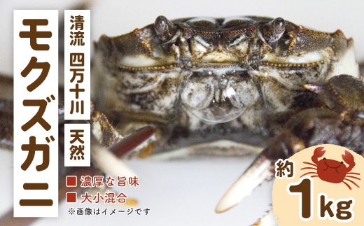 24-948．濃厚な旨み！清流四万十川・天然モクズガニ 約1kg（大小混合）