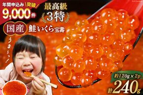 【CF01】【TVで紹介】最高級3特 国産 味付 いくら 宝壽 醤油漬 120g×2 [かわむら家 宮城県 気仙沼市 20564366] イクラ 海鮮 魚介類 醤油 ふるさと納税 ふるさとのうぜい ふるさと