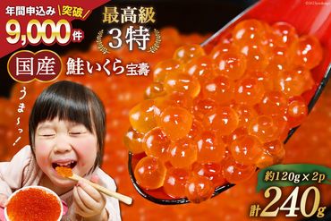 【TVで紹介】最高級3特 国産 味付 いくら 宝壽 醤油漬 120g×2 [かわむら家 宮城県 気仙沼市 20564366] イクラ 海鮮 魚介類 醤油 ふるさと納税 ふるさとのうぜい ふるさと