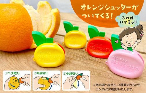 八朔 訳あり それでも 有田の八朔  (はっさく) 箱込 10kg (内容量約 9.2kg) サイズミックス B品 和歌山県産  産地直送［おまけ付き］［みかんの会］ AX240