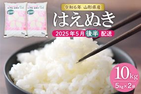 【令和6年産 先行予約】はえぬき10kg (2025年5月後半送付)JA提供 山形県 東根市　hi002-028-053