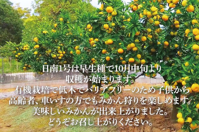 【先行予約】【10月中旬より発送開始】みかん狩り　ペア招待券（お土産付き）【埼玉県 春日部市 ふるさと納税 観光 農業体験 レジャー 予約 チケット カップル シニア おでかけ】（CH001-1）