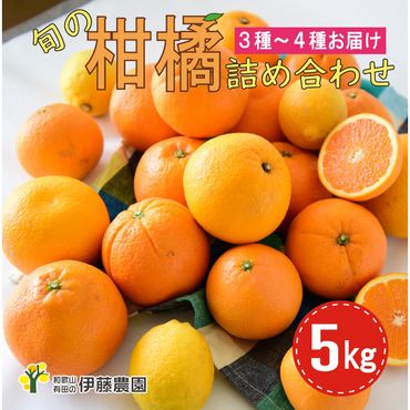 882.特選 旬の柑橘詰め合わせ 5kg（A882-1）