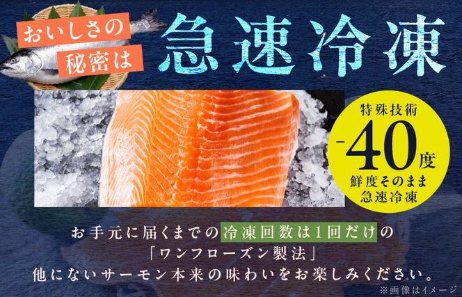 G989 アトランティックサーモン 総量 1kg以上