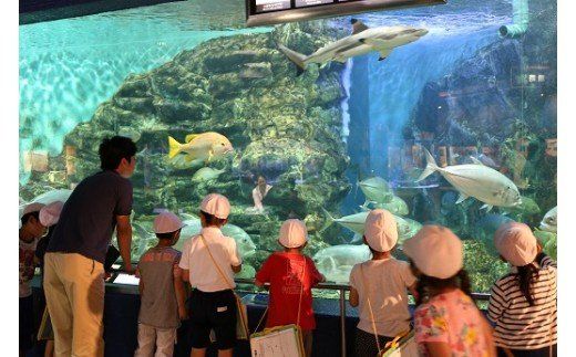 【遊園地や水族館をたっぷり満喫４名分】碧南市公共施設利用券セット　H028-010