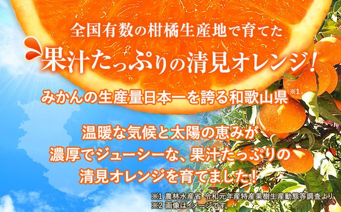 とにかくジューシー 清見 オレンジ 5kg 株式会社魚鶴商店《2026年3月下旬-4月中旬頃より出荷予定》和歌山県 日高町 柑橘 果物 フルーツ 清見オレンジ---wsh_uot135_3g4c_25_14000_5kg---