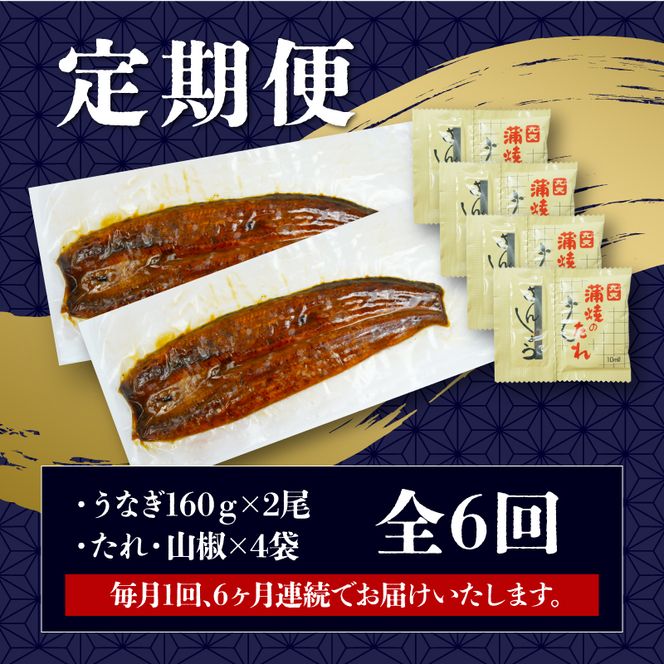 定期便 全6回 うなぎ 国産 蒲焼 160g × 2尾 計320g 鰻蒲焼 ウナギ 土用 丑の日  JAS認定 活鰻 自家製蒲焼のたれ 山椒 ギフト 贈答 冷凍 養殖 真空パック レンジ 調理 湯煎 まとめ買い 静岡県 藤枝 [PT0073-020000]