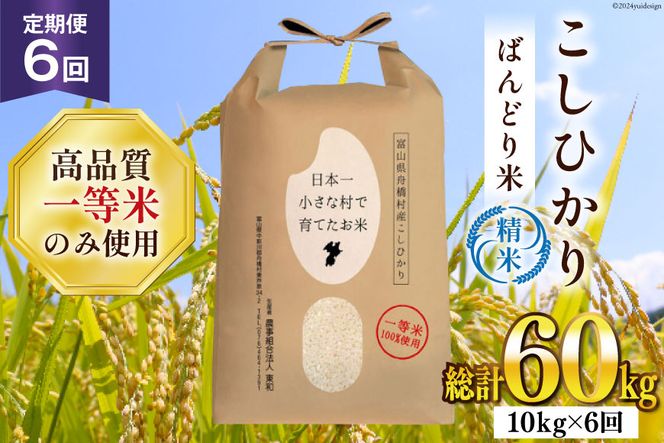 【6ヶ月定期便】【一等米100％】ばんどり米（コシヒカリ）精米 10kg（5kg×2袋） [農事組合法人東和 富山県 舟橋村 57050226] お米 白米 美味しい こしひかり 富山 農家