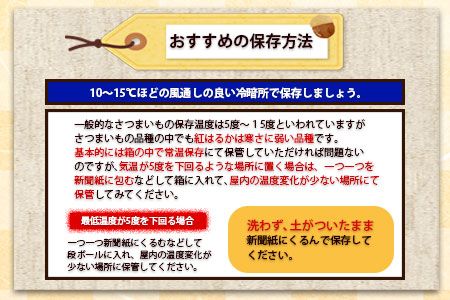 【早期予約】熊本県大津町産 タカハマ観光農園のシルクスイート 約5kg《1月上旬-4月末頃出荷》 さつまいも 芋 スイートポテト 干し芋にも---so_tkhmslk_af14_24_9500_5kg---