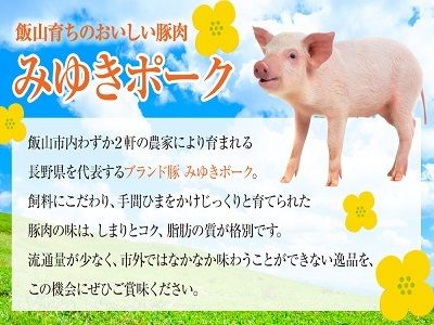 みゆきポーク　満喫　食べ尽くしセット(Ae-001)