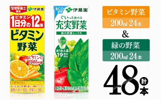 ビタミン野菜(紙)24本+緑の野菜(紙)24本 [伊藤園 飲料類 野菜 ビタミン野菜 緑の野菜 ジュース セット 詰め合わせ 飲みもの] [D07373]