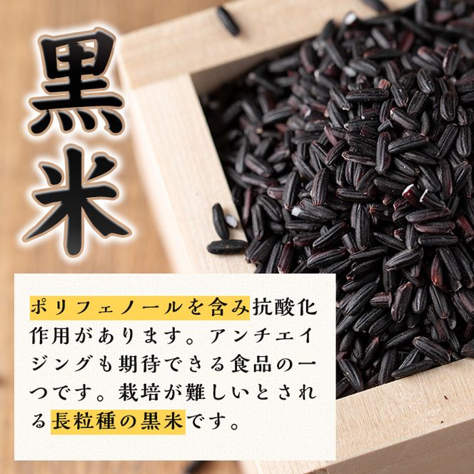 isa478《毎月数量限定》あんしん黒米(約200g×5袋・計約1kg）【しげふみファーム】