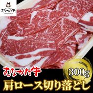 むなかた牛肩ロース切り落とし300g【すすき牧場】_HA1277