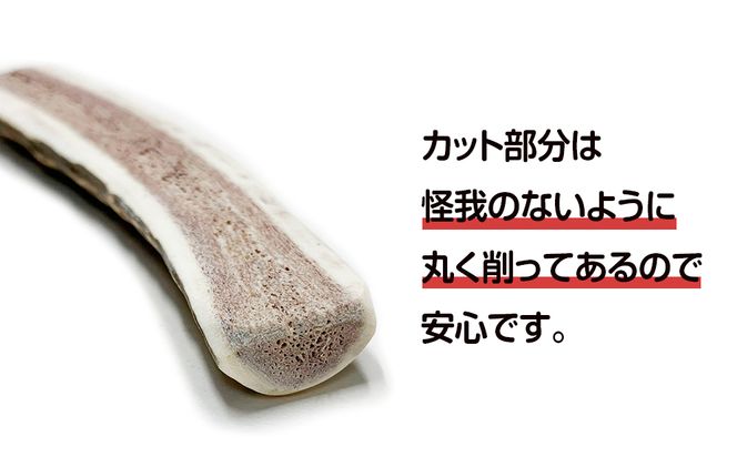 鹿の角 エゾシカ 犬のおもちゃ 『鹿角さん』 小型犬用　半割り　1本 CB023