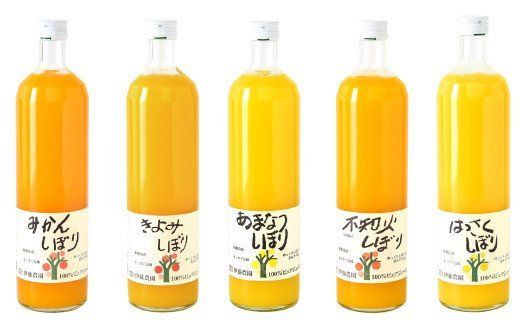 79.伊藤農園 5種みかんジュース大瓶（750ml）9本セット(A79-2)