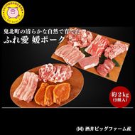 3か月連続お届け 豚肉定期便！鬼北町の清らかな自然で育てた ふれ愛 媛ポーク 約2kg【3回お届け】＜肉 お肉 豚肉 銘柄豚 ブランド肉 定期便 豚ロース 豚モモ 豚バラ 豚小間切れ おかず しゃぶしゃぶ 愛媛県 鬼北町＞