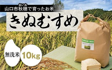 D033 あいお（秋穂）で育ったお米　きぬむすめ　無洗米　10kg
