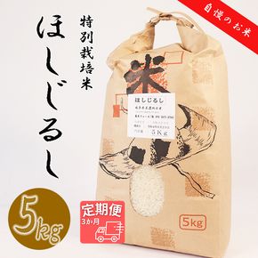 BI-3a 【3か月定期便】垂井町産ほしじるし(5kg×3回）