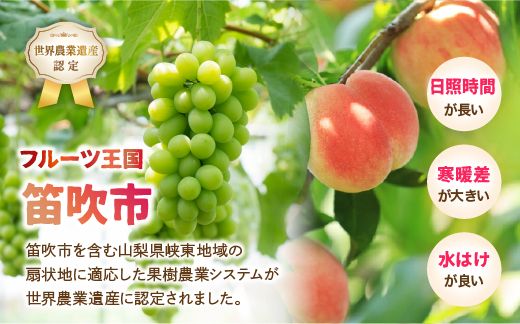 【2026年発送★先行予約】産地厳選シャインマスカット2.2kg（3房～5房）106-004-26y 