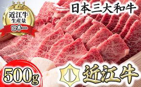 【4等級以上】近江牛バラ焼肉希少部位【500g】折箱入り【H011U】