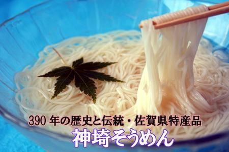 神埼めんセット 10入 【麺 そうめん ささっとうどん にゅうめん 即席ラーメン 特産品】(H014130)