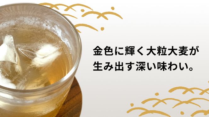 【 3ヶ月 定期便 】  JA北つくば JGAP認証 麦茶 1箱 ( 500ml × 24本 ) JGAP JA お茶 茶 ペットボトル 麦 大麦 二条大麦 ノンカフェイン カフェインゼロ [AE021ci]