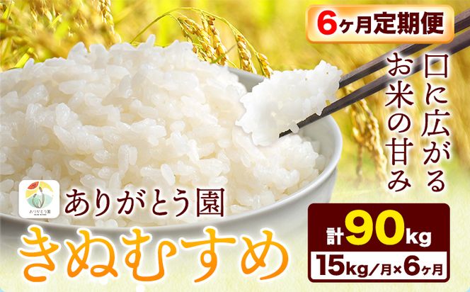 【6ヶ月定期便】 令和6年産 米 岡山県産 きぬむすめ 白米 15kg ありがとう園《お申込み月の翌月から出荷開始》岡山県 矢掛町 米 コメ 一等米 定期便 定期---osy_aekhtei_23_160000_mo6num_15---