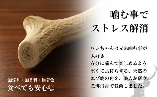  犬のおやつ・歯固めに！エゾシカ角 約15cm×1本（大型犬用） BO011