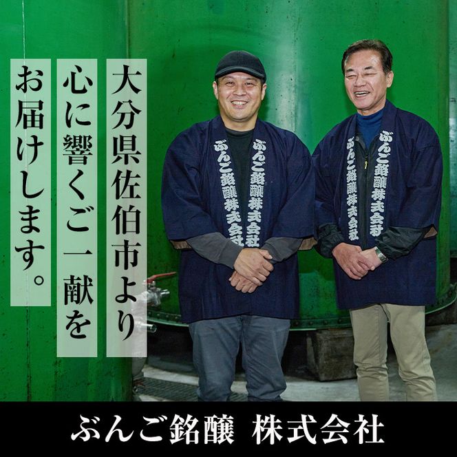 大分県産 ぶんご鶏の自家製塩麹漬け(計1.26kg・210g×6枚)国産 鶏肉 ステーキ タンパク質 簡単 調理 冷凍 大分県 佐伯市【AN109】【ぶんご銘醸 (株)】