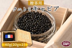 ＜【贈答用】クニトミキャビア40g（20g×2）＞翌月末迄に順次出荷【a0650_mc】