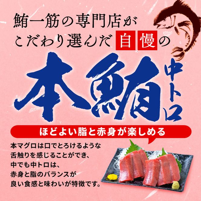 訳あり 本まぐろ 中とろ 刺身用 約400g 不定型柵 本鮪 まぐろ [ PT0014-000010-X2 ]