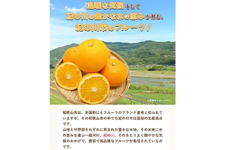 先行予約 和歌山県産 八朔(はっさく) 約4kg 前商店《2025年1月上旬-1月末頃出荷》産地直送 柑橘---wsk_ucsbhsk_ac1_22_11000_4kg---