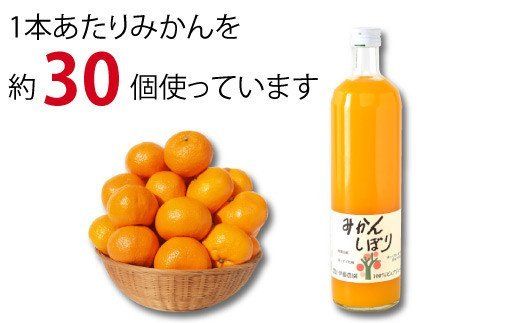 484.伊藤農園 100%ピュアジュース みかんしぼり750ml×6本（A484-3）