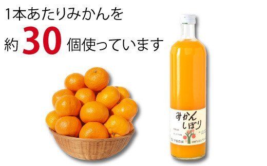 79.伊藤農園 5種みかんジュース大瓶（750ml）9本セット(A79-2)