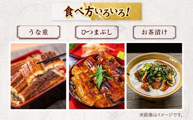 大型サイズ ふっくら柔らか国産 うなぎ 蒲焼き 2尾 化粧箱入(真空パック入) 株式会社魚鶴商店《30日以内に出荷予定(土日祝除く)》 和歌山県 日高町 うなぎ 鰻 ギフト 贈り物---wsh_futsuna_30d_23_21000_2p---