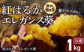 焼き芋 蜜たっぷり！冷やし焼き芋 ひえひえ君 食べ比べ 1kg エレガンス葵＆紅はるか 芋スイーツ H047-032