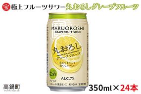 ＜極上フルーツサワー 丸おろしグレープフルーツ 350ml×24本＞翌月末迄に順次出荷【c800_mm_x2】