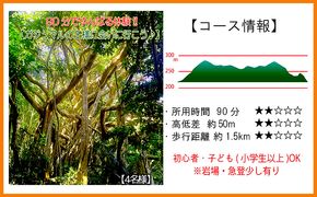 沖縄県北部やんばる・ガジュマルの王様に会いに行こう♪【4名様】